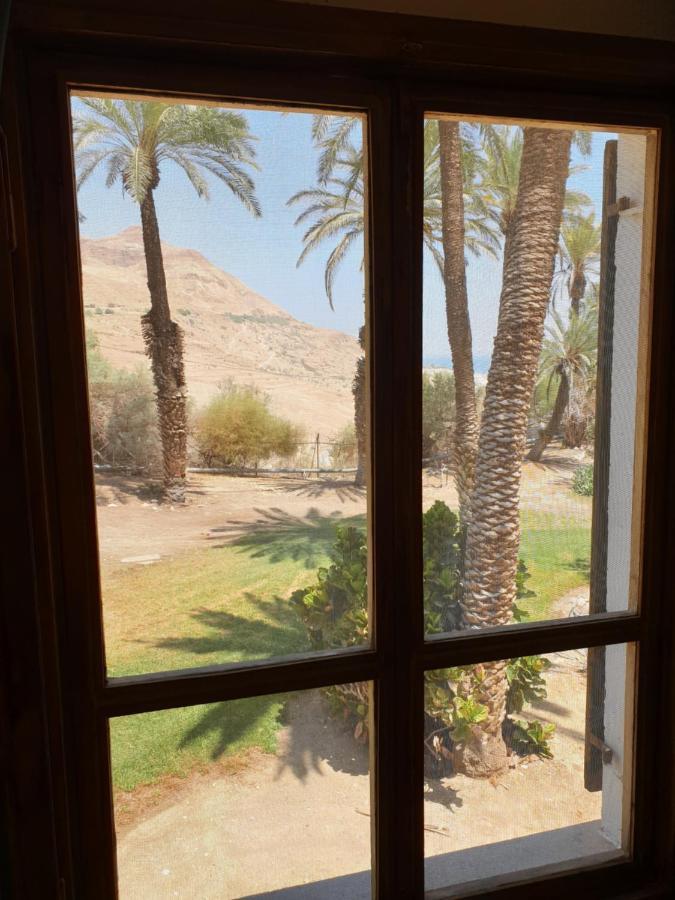 הצימר של יהושע Ein Gedi Ngoại thất bức ảnh