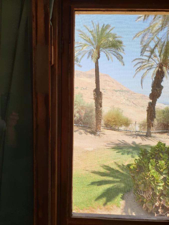 הצימר של יהושע Ein Gedi Ngoại thất bức ảnh